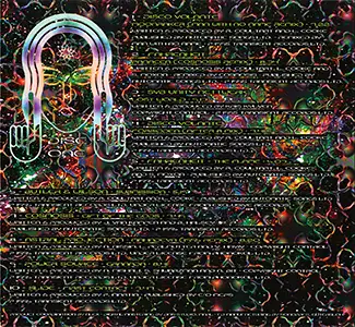 Various Artists - Psychedelic Visions - The Best of Transient Records: Inside 3