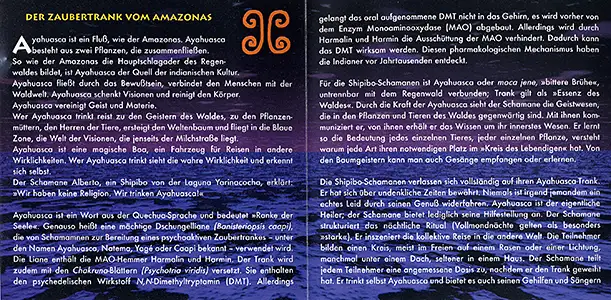 Bodh Gaya - Ayahuasca: Inside