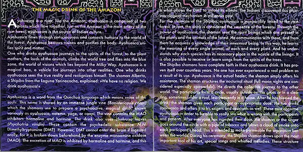 Bodh Gaya - Ayahuasca: Inside 3