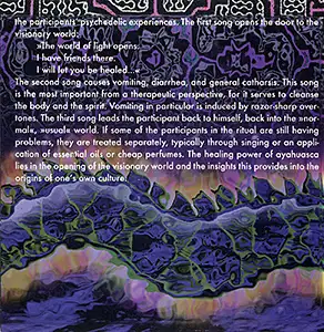 Bodh Gaya - Ayahuasca: Inside 4