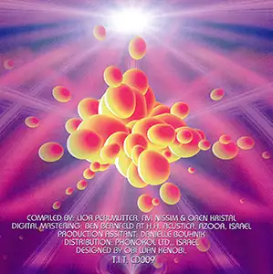 Various Artists - Psychedelic Vibes 1: Inside 2