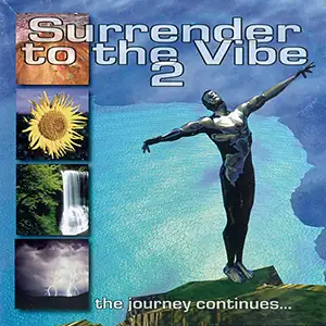 Various Artists Surrender To The Vibe 2