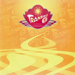 Various Artists Transient 5