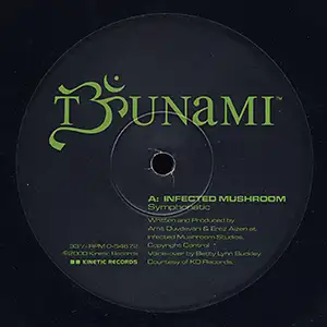 Various Artists Tsunami Sampler 02 EP