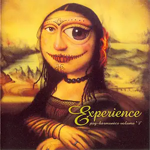 Various Artists Psy Harmonics 5 - Experience