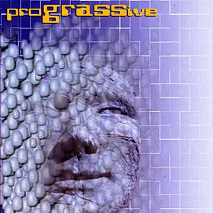Various Artists Prograssive