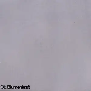 Ott - Blumenkraft: Inside 2