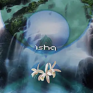 Ishq Orchid