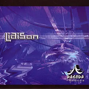 Various Artists Liaison