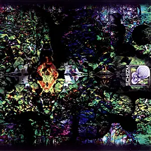 Various Artists Schizm