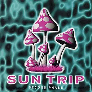 Various Artists Sun Trip 2