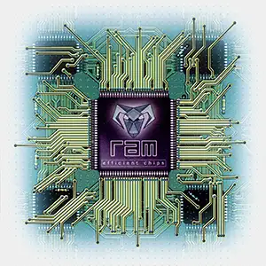R.A.M. Efficient Chips