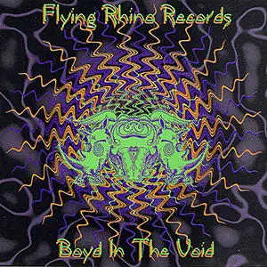 Various Artists The Boyd in the Void