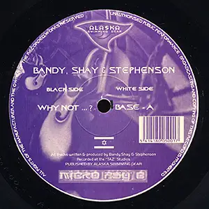 Bandy & Shay & Stephenson Why Not...?