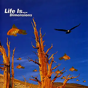 Various Artists Life Is Dimensions