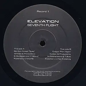 Various Artists Seventh Flight - Elevation