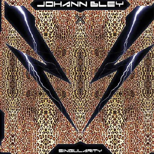 Johann Bley Singularity