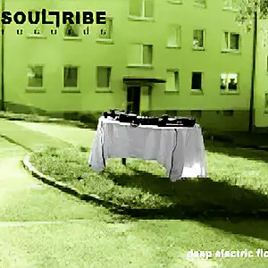 Various Artists Deep Electric Flow