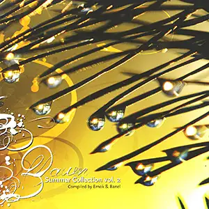 Various Artists Summer Collection 2