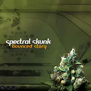 Spectral Skunk Bounced Story
