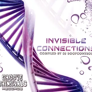 Various Artists Invisible Connections