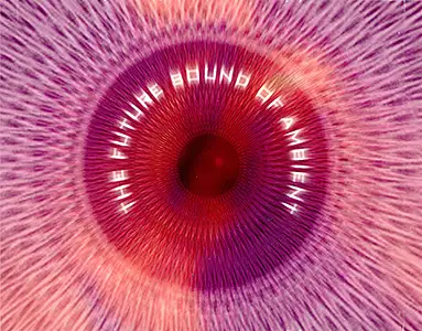Various Artists - Future Sound of Ambient 1 & 2: Back 2