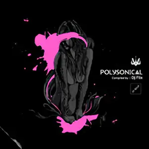 Various Artists Polysonical