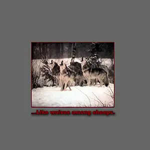 Various Artists ...Like Wolves Among Sheeps