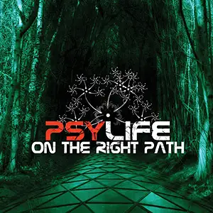 Various Artists On The Right Path