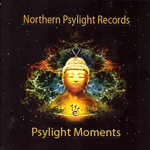 Various Artists Psylight Moments