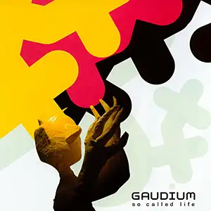 Gaudium So Called Life