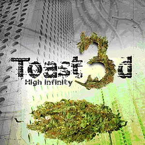 Toast3d High Infinity