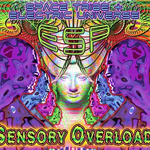 ESP Sensory Overload
