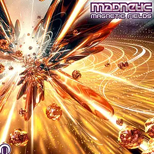 Mad Netic Magnetic Fields