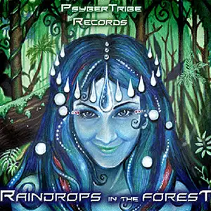 Various Artists Raindrops In The Forest