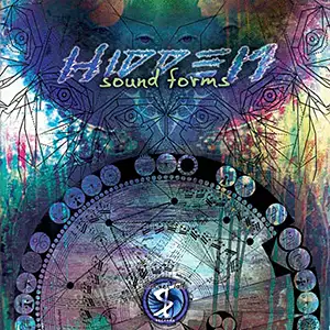 Various Artists Hidden Sound Forms