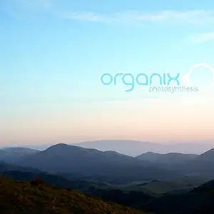 Organix Photosynthesis