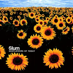 Slum Sunflowers Of Today