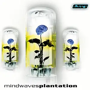 Various Artists Plantation