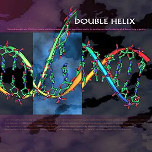Various Artists Double Helix