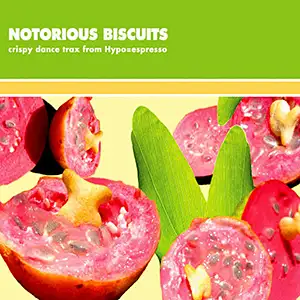 Various Artists Notorious Biscuits