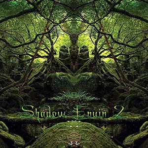 Various Artists Shadow Enuin 2
