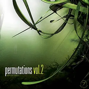 Various Artists Permutations vol 2